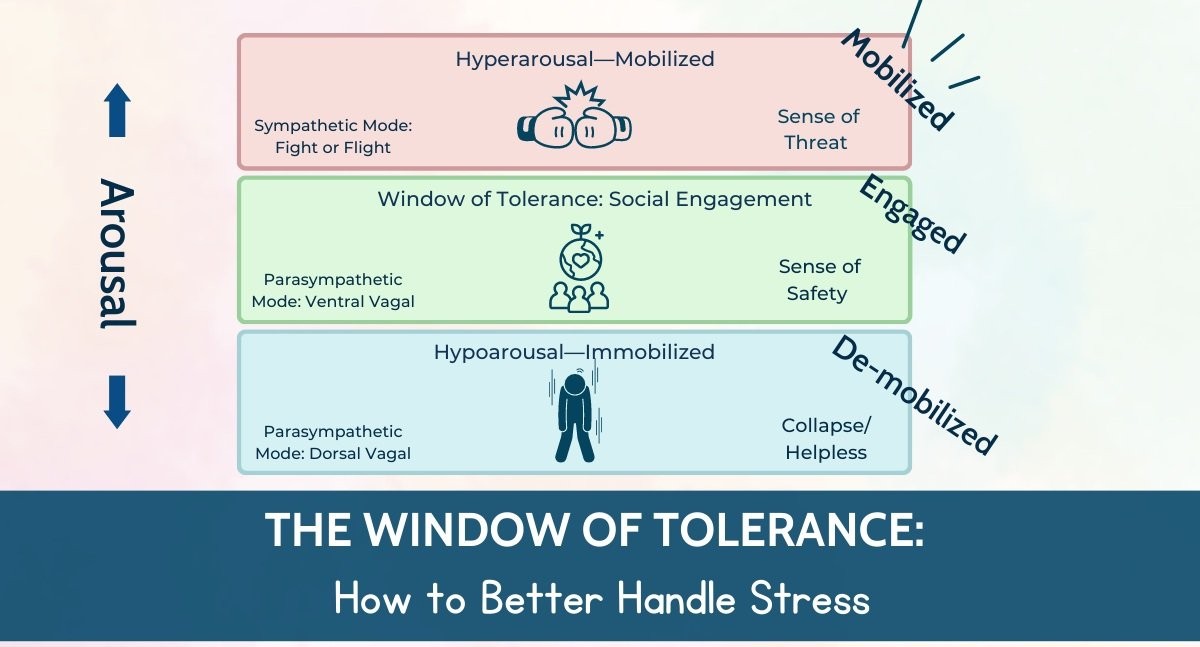 Graphic outlining the window of tolerance and how to better handle stress